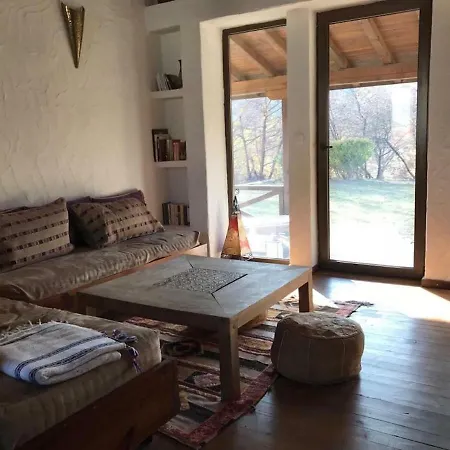 فيلة Bachevo Horizon *